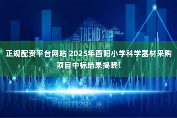 正规配资平台网站 2025年酉阳小学科学器材采购项目中标结果揭晓！